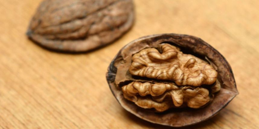 Quả óc chó giảm nguy cơ ung thư đại tràng