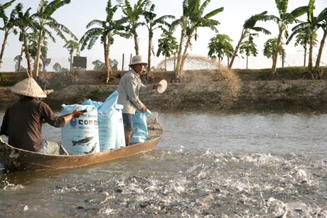 xuat-cap-chlorine-phong-dich-thuy-san