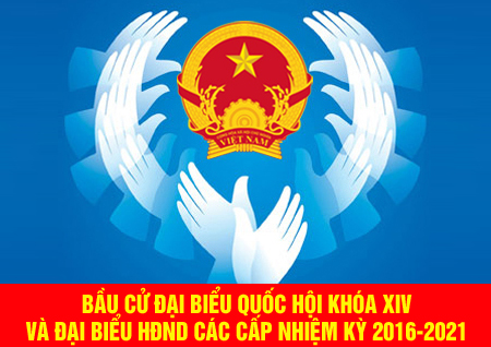 mot-so-tinh-thanh-pho-da-co-Chu-tich-Pho-CT-UBND-moi