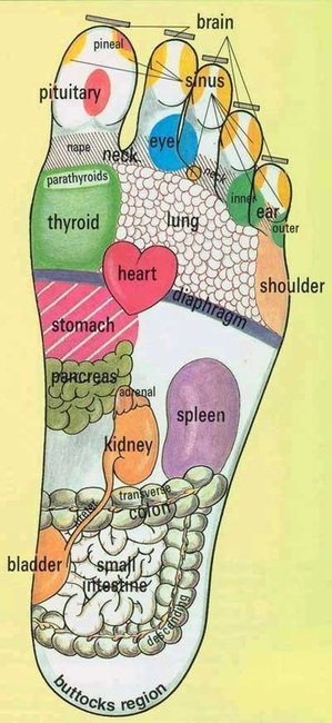 Các huyệt tương ứng với các bộ phận cơ thể con người trên gan bàn chân