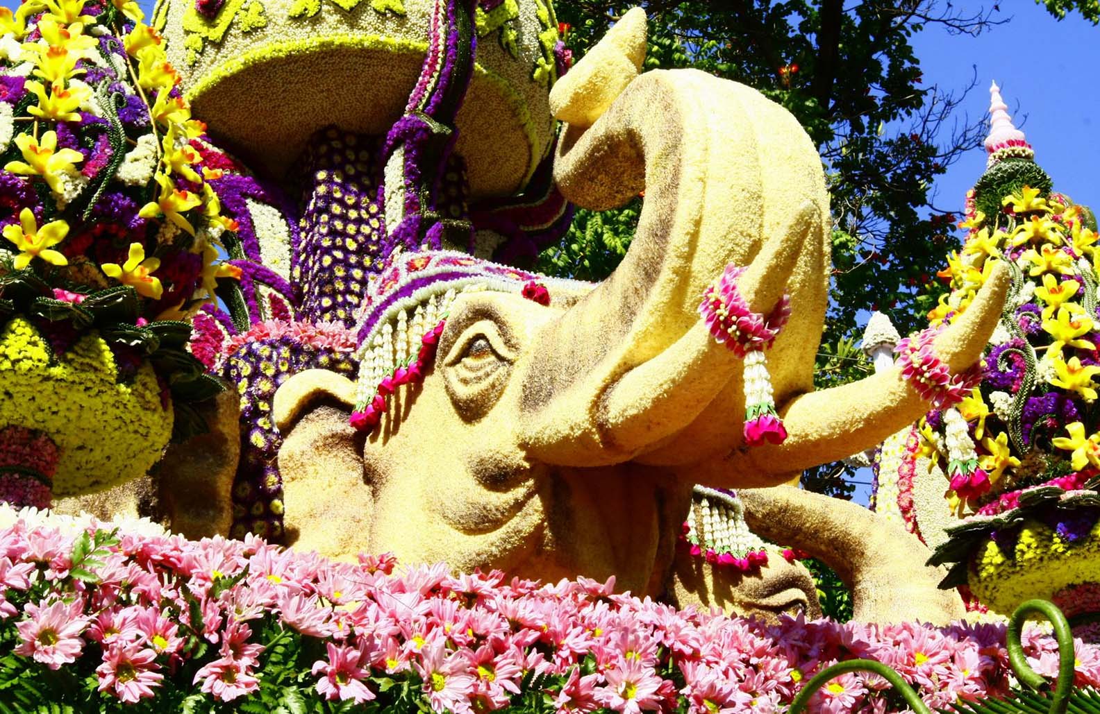 Lễ hội hoa Chiang Mai