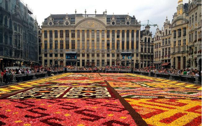 lễ hội thảm hoa Bỉ 1