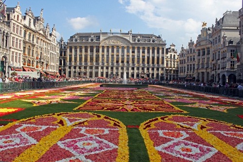 lễ hội thảm hoa Bỉ
