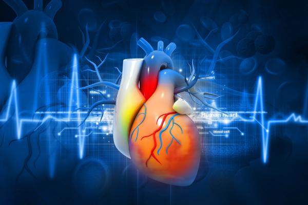 Rối loạn nhịp tim có thể liên quan với tăng nồng độ hormone tuyến giáp