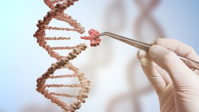 chỉnh code gene nâng cao chất lượng cuộc sống