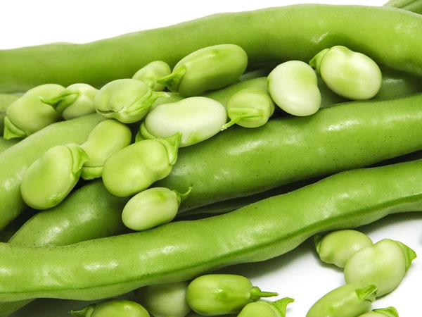 đậu tốt cho người phổi tắc nghẽn mạn tính