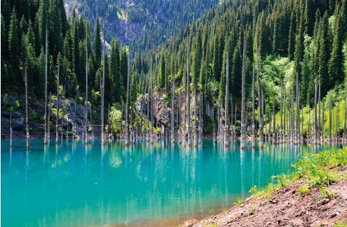 Hồ Kaindy ở dãy núi Tian Shan, Kazakhstan