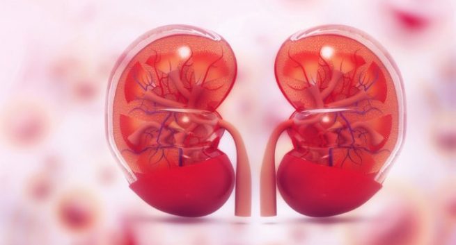 giúp người bệnh tiểu đường giảm nguy cơ bị bệnh thận