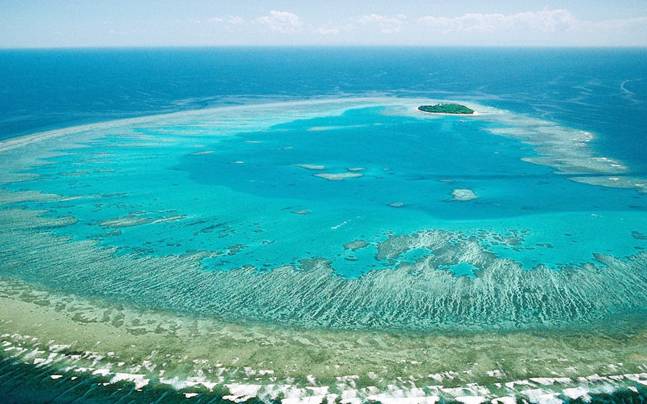 Rặng san hô Great Barrier Reef