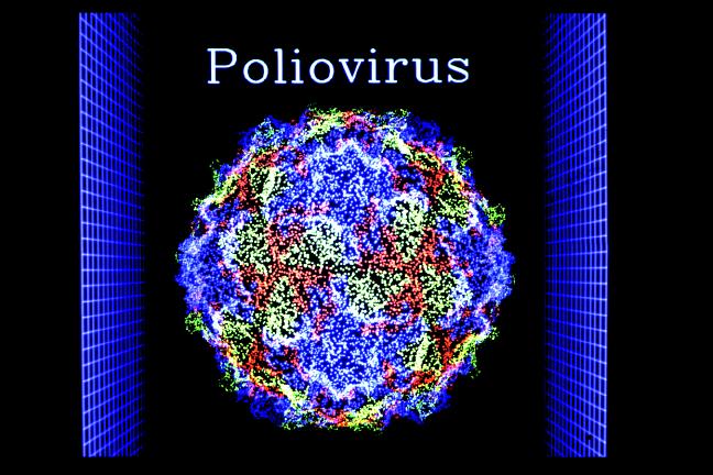 Virus bại liệt được chỉnh sửa gene kích thích hệ miễn dịch tiêu diệt khối u ung thư não
