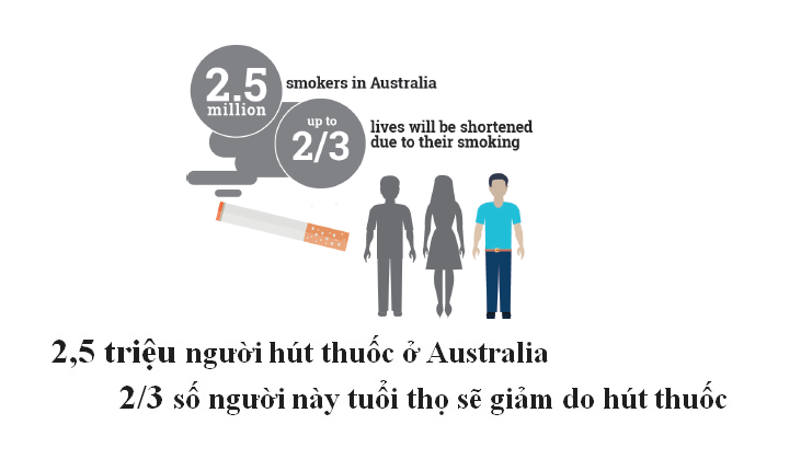 2/3 số người hút thuốc sẽ bị giảm tuổi thọ. Vì vậy, Australia mạnh tay với thuế thuốc lá