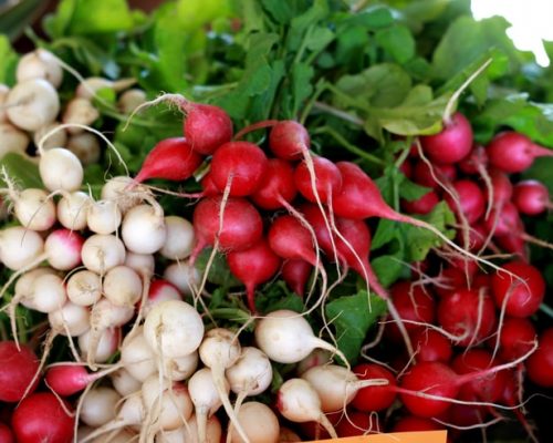 Công dụng tuyệt vời của củ cải đối với sức khỏe trong mùa đông