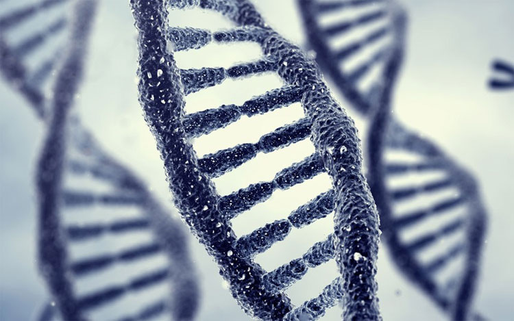 gene điều trị Alzheimer gene điều trị Alzheimer