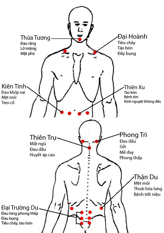 Cứu huyệt dưỡng sinh