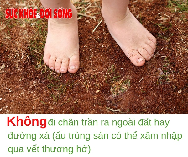 Phòng tránh nhiễm ấu trùng sán lợn - Không đi chân trần ra ngoài đất