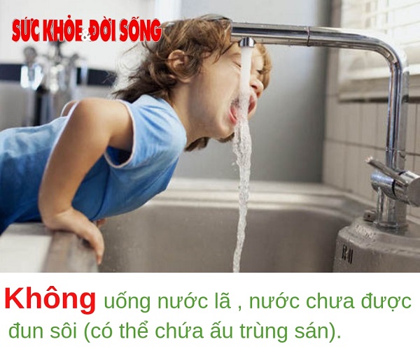 Phòng tránh nhiễm ấu trùng sán lợn - Không nên uống nước lã, nước chưa đun sôi hay tiệt trùng