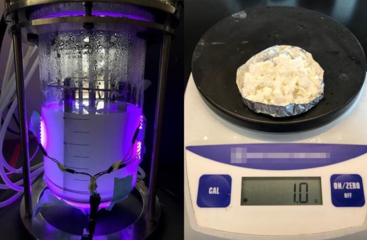 Một gram nhựa có thể phân hủy sinh học được tạo ra bởi vi khuẩn nanobio-hybrid. 