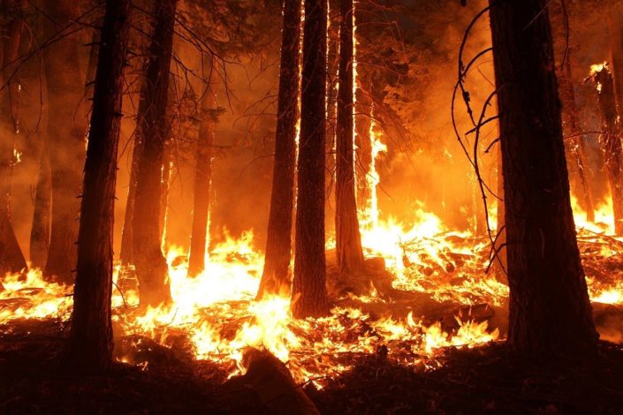 Khói từ các đám cháy rừng ở Canada lan tới châu Âu  baotintucvn