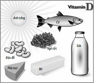 Những thực phẩm giàu vitamin D