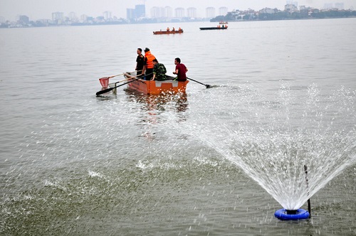Từ vụ cá chết bất thường ở Hồ Tây: Báo động tình trạng ô nhiễm hồ ở Hà Nội