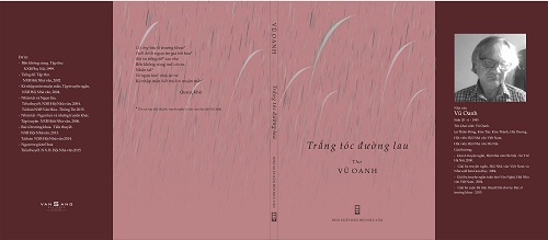 Trắng tóc đường lau