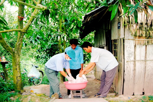 Tẩm màn phòng ngừa bệnh sốt rét. Ảnh: TM