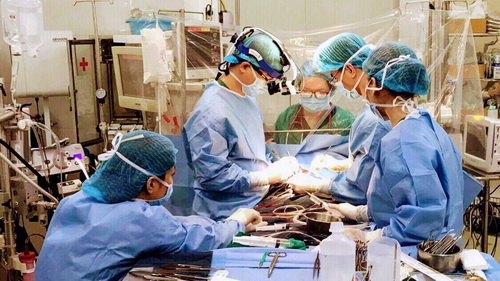 Ca phẫu thuật chuyển gốc động mạch cho bé P.