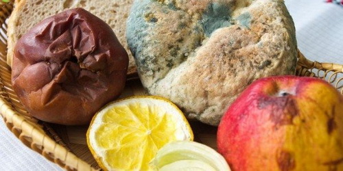 Dùng thực phẩm bị nấm mốc và chiên đi chiên lại nhiều lần dễ gây ung thư. Dùng thực phẩm bị nấm mốc và chiên đi chiên lại nhiều lần dễ gây ung thư.