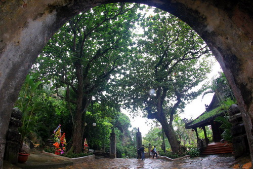 Vì một hành tinh xanh, vì môi trường sinh thái, hãy bảo vệ cây xanh.