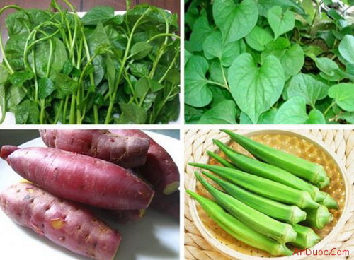 Những thực phẩm tốt cho việc phòng, chống bệnh trĩ. Những thực phẩm tốt cho việc phòng, chống bệnh trĩ.