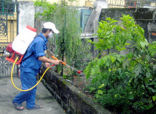 Phun thuốc diệt muỗi phòng bệnh sốt xuất huyết.