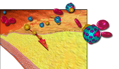 Cholesterol - thành phần cần thiết duy trì sự sống.