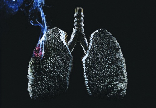 When cigarette smoke is inhaled into the lungs, plastic substances are deposited and adhered to the air spaces of the lungs causing cancer and lung diseases.