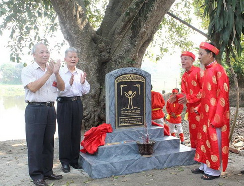 Tại nhiều địa phương ở nước ta thời gian qua, không ít cây cổ thụ được gắn bia đá công nhận “Cây di sản Việt Nam”. (Ảnh minh họa) Tại nhiều địa phương ở nước ta thời gian qua, không ít cây cổ thụ được gắn bia đá công nhận “Cây di sản Việt Nam”. (Ảnh minh họa)