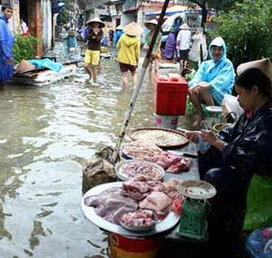 Bệnh thương hàn thường gặp ở vùng lũ lụt do ăn phải thức ăn nhiễm Salmonella.