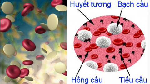 Thuốc kháng nấm có thể gây những rủi ro như hạ huyết áp, giảm tiểu cầu...