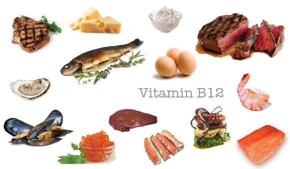 Cơ thể cần vitamin B12 như thế nào?