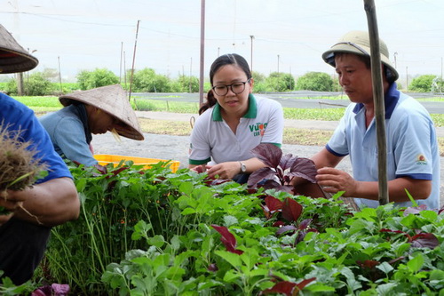 Tuổi trẻ và ước mơ nông nghiệp xanh.