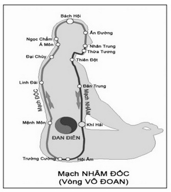 Mạch đốc chạy dọc cột sống.