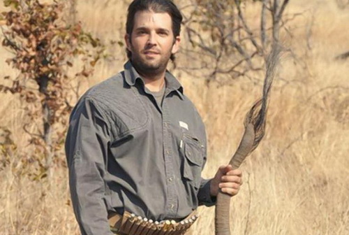 Donald Trump Jr. mê săn bắn