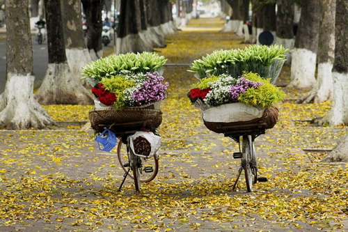 Những ai đã gắn bó với Hà Nội thường rất ấn tượng với những gánh hàng rong, một cái gì đó rất đỗi Hà Nội…