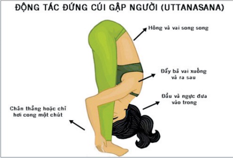 động tác đứng cúi gập người (uttanasana)