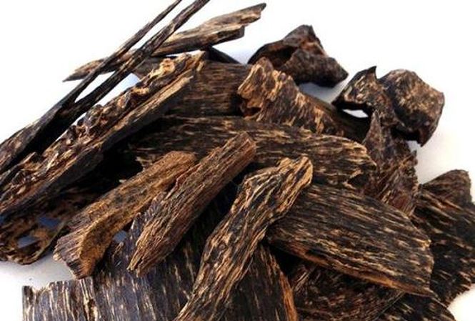 Trầm hương trị viêm phế quản, đầy trướng bụng