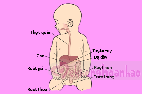 Trẻ em bị đau bụng bên trái: Nguyên nhân, triệu chứng và cách điều trị hiệu quả