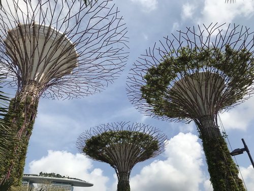 Từ một cái làng chài chung với Malaysia, Singapore tách ra rồi vừa lấn biển vừa có thêm một số đảo hoang, trở thành một đất nước hùng mạnh như bây giờ.