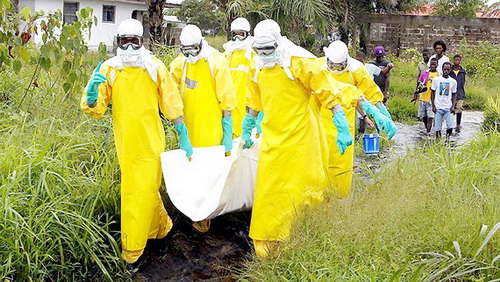 Các nhân viên y tế  Liberia tiến hành xử lý một xác chết bị nghi ngờ tử vong do nhiễm virut Ebola tại Liberia.