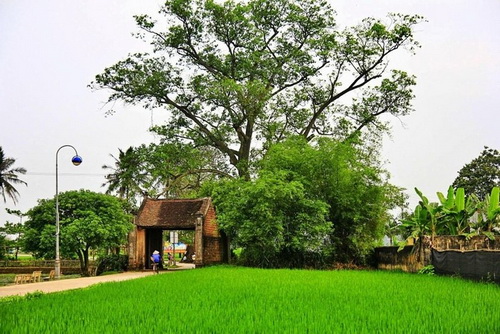 Làng cổ Vọng Nguyệt và những cảnh đẹp mơ màng của làng quê Kinh Bắc.
