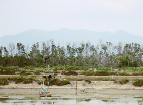Nhiều đầm tôm ở xã Tân Hải (Ninh Hải, Ninh Thuận) phải bỏ không vì chủ đầm bất cẩn bị tai nạn do máy sục khí nuôi tôm cuốn vào.