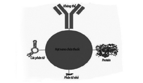 Công nghệ nano trong phát triển các thuốc điều trị ung thư phổi.