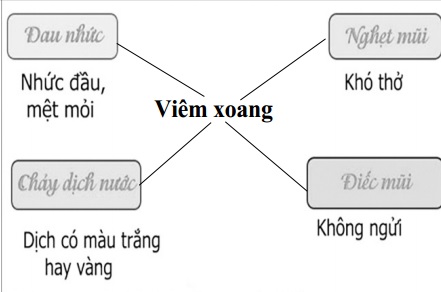 Những triệu chứng điển hình của viêm xoang.